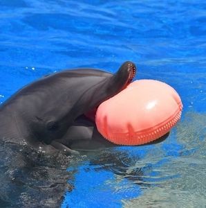 Meet your Posher, Jody